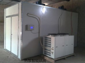 臺農芒果市場報價與環保設備制造企業發展探析